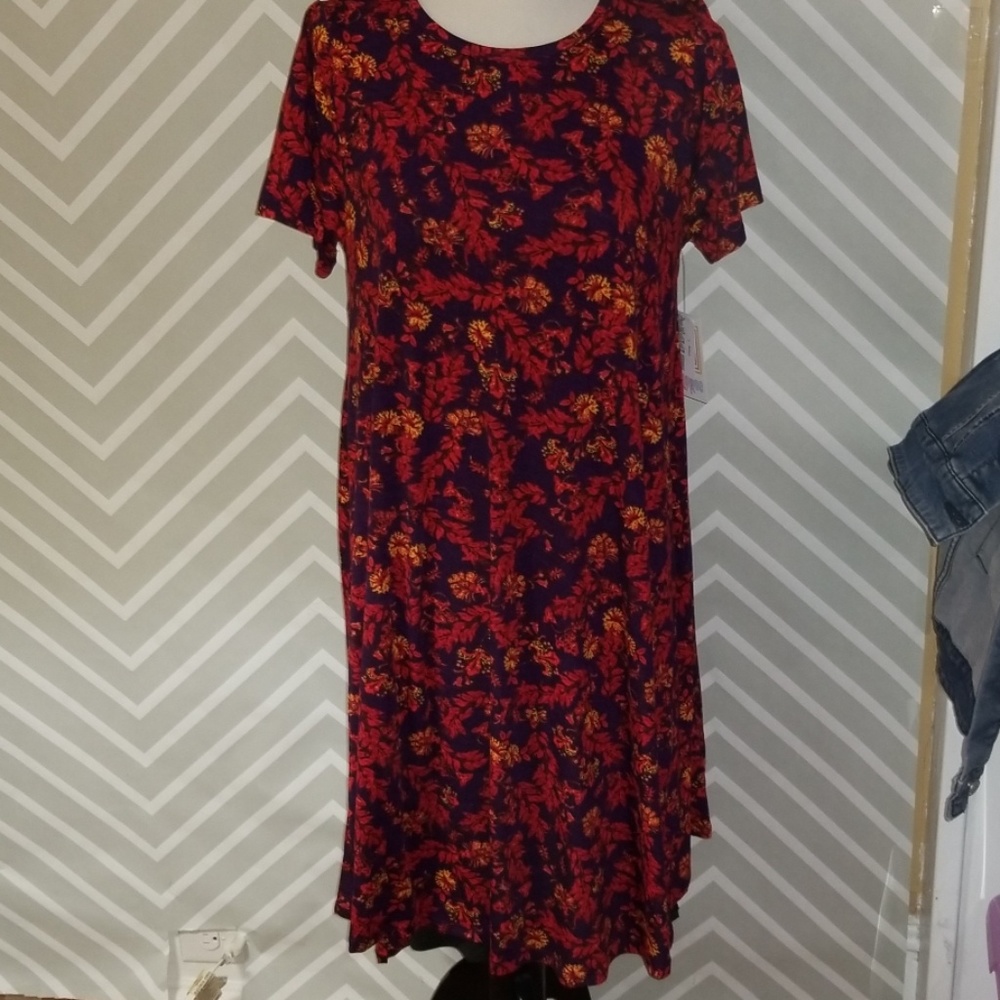 Lularoe Carly Large